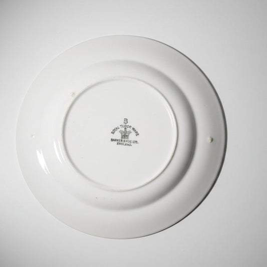 vintage 1940s Royal Tudor Ware small saucer set of 3 6 inch