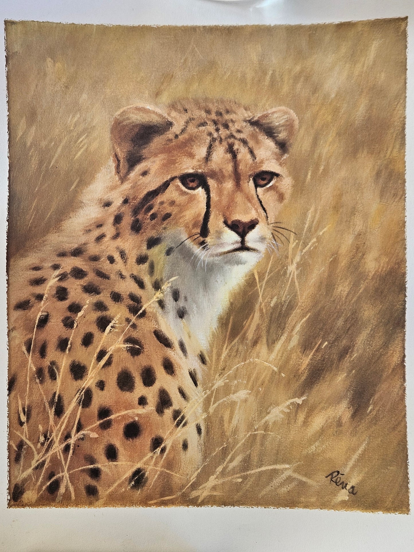 Vintage Mid-Century Big Cat Lithograph Prints by Rena – Matching Leopard & Cheetah Set (Pair)